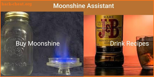 Moonshine Assistant screenshot