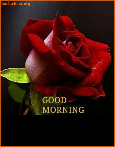 Morning Images Wishes Love Gif screenshot