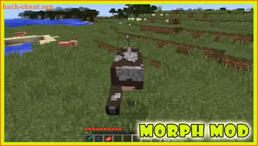 Morph Mod Minecraft screenshot