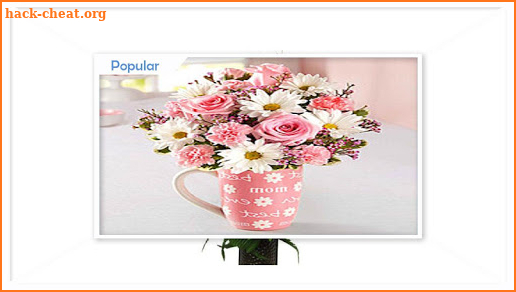 Mothers Day Flower Arrangements screenshot