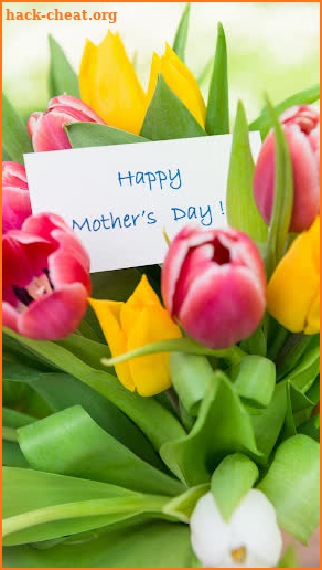 mothers day flowers screenshot