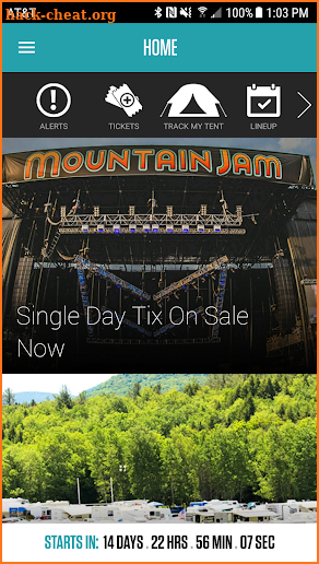 Mountain Jam Festival screenshot