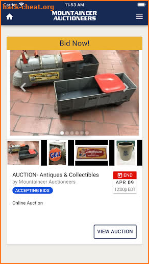 Mountaineer Auctioneers screenshot