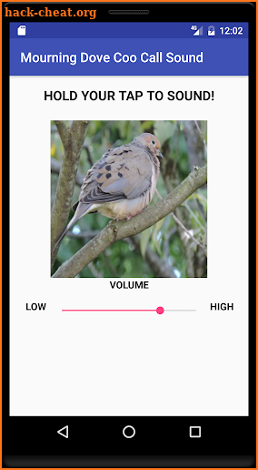 Mourning Dove Coo Call Sound screenshot