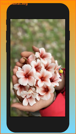 Mozena - School flowers usually grow on long screenshot