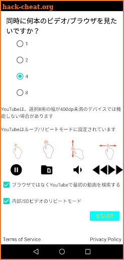 Multi-8 Browser Video Loop Pro screenshot
