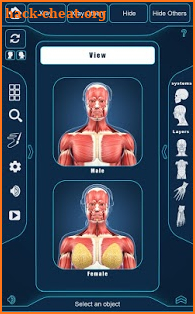 Muscle Anatomy Pro. screenshot
