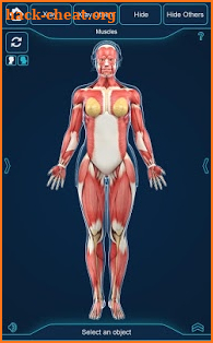 Muscle Anatomy Pro. screenshot
