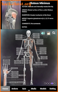 Muscle and Bone Anatomy 3D screenshot