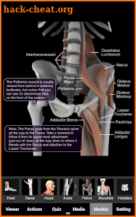 Muscle and Bone Anatomy 3D screenshot