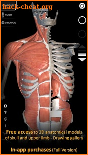 Muscle | Skeleton - 3D Anatomy screenshot