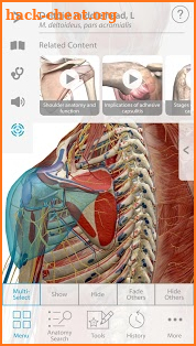 Muscle Premium - Human Anatomy, Kinesiology, Bones screenshot