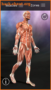 Muscle Trigger Point Anatomy screenshot