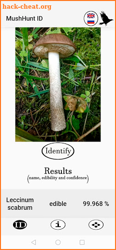 MushHunt (mushroom identification) screenshot