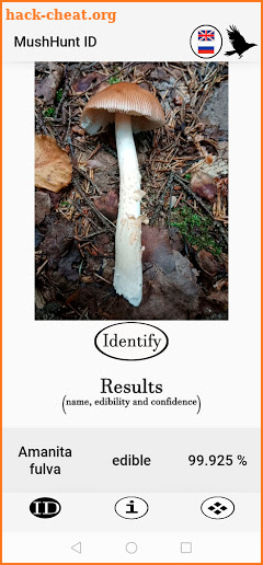 MushHunt (mushroom identification) screenshot