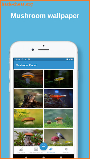 Mushroom Finder:  identification, wallpaper screenshot