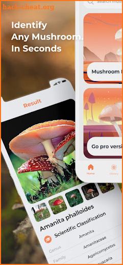 Mushroom ID - Mushroom identifier free screenshot