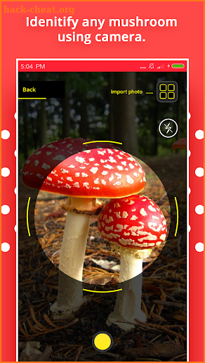 Mushroom Identification screenshot