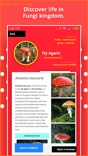 Mushroom Identification screenshot