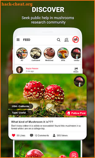 Mushroom identifier App by Photo, Camera 2019 screenshot