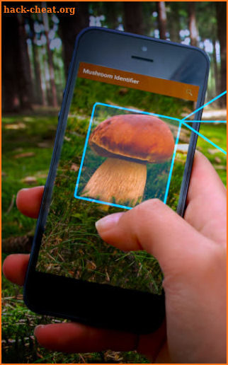 Mushroom Identifier - detection and classification screenshot