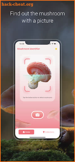 Mushroom Identifier - Picture Mushroom screenshot