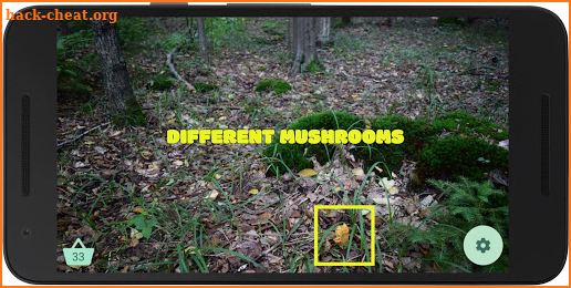 Mushroom picker 2 screenshot