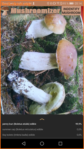 Mushroomizer screenshot