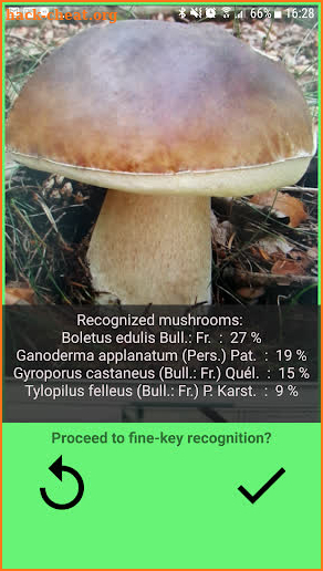 Mushrooms app screenshot