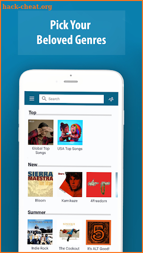 Music Hub Player screenshot