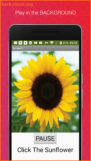 Music Sunflower Player screenshot