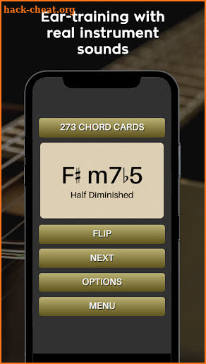 Music Theory and Ear-Training Flashcards (Full) screenshot