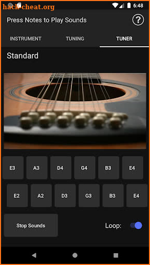 Music Toolkit - 12 String Guitar Tuner screenshot