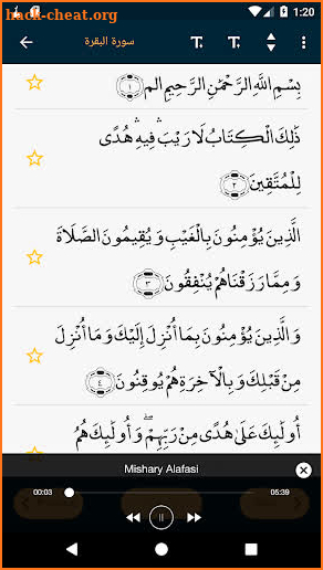 Muslim Life Quran, Salat Prayer Times,Qibla, Khatm screenshot