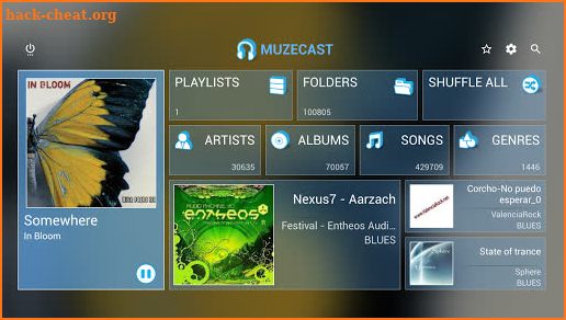 Muzecast Music Streamer screenshot