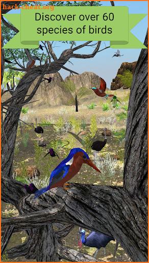 My Aviary - Grow Your Idle Bird Paradise screenshot