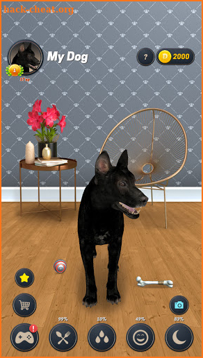 My Dog (Dog Simulator) screenshot