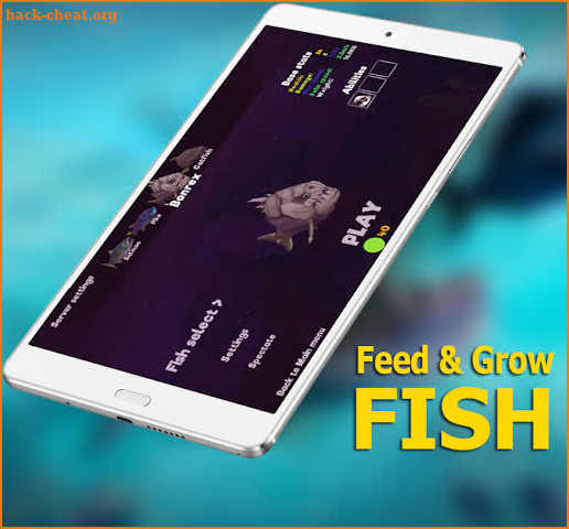 My Fish Feed Grow Series 2019 Guide screenshot
