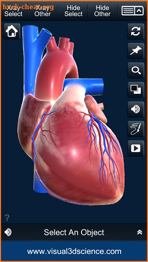 My Heart Anatomy screenshot
