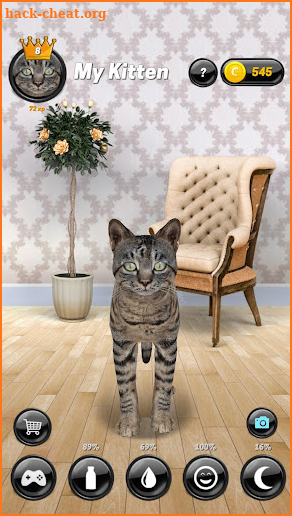 My Kitten (Virtual Pet) screenshot