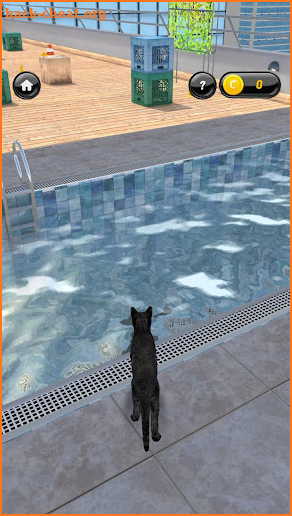 My Kitten (Virtual Pet) screenshot