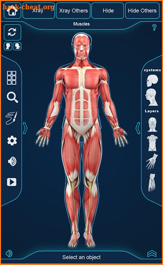 My Muscle Anatomy screenshot
