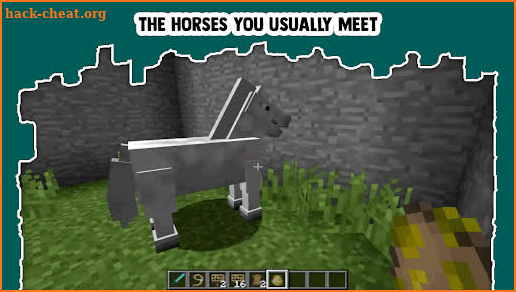 My Pony Unicorn mod for MCPE screenshot