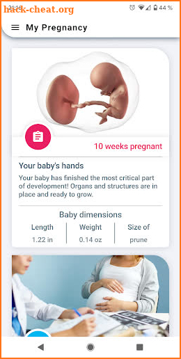 My Pregnancy - week by week pregnancy guide screenshot