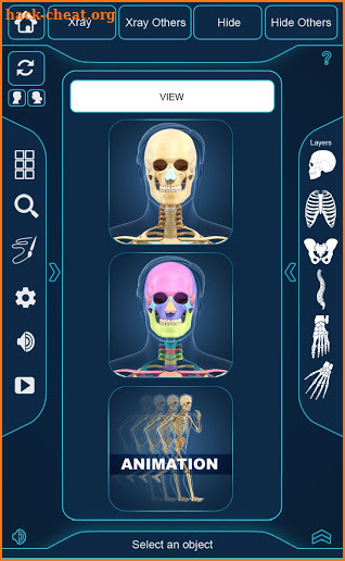 My Skeleton Anatomy screenshot