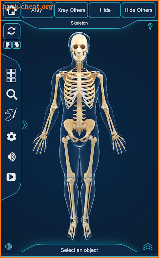 My Skeleton Anatomy screenshot