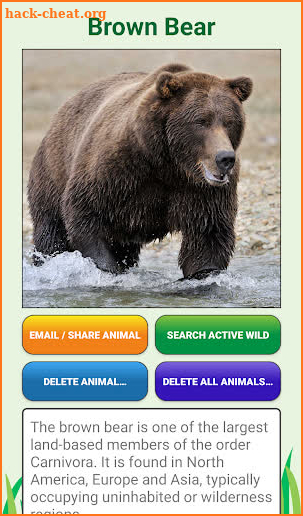 My Spirit Animal Quiz screenshot
