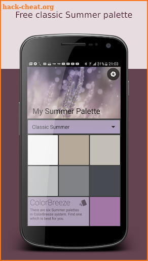My Summer Palette screenshot