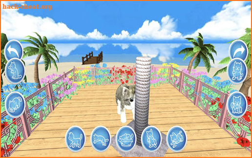 My Sweet Cat Simulator screenshot