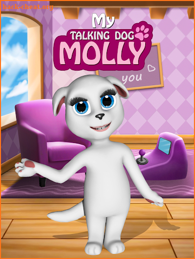 My Talking Dog Molly ❤️ screenshot